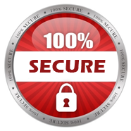 Trusting Ecommerce Security Seals Affixed To Domain Names
