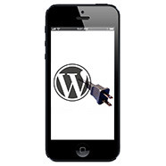 How to Make Your WordPress Blog Mobile Friendly